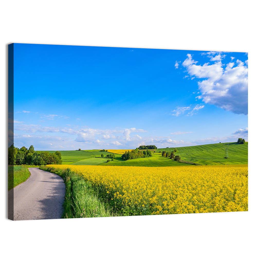 Rapeseed Field Road Under Blue Sky Wall Art