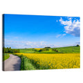 Rapeseed Field Road Under Blue Sky Wall Art