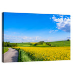 Rapeseed Field Road Under Blue Sky Wall Art