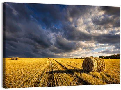 Hay Bale at Golden Hour Wall Art