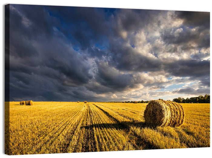 Hay Bale at Golden Hour Wall Art as a canvas print