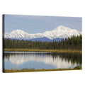 Denali Reflection Wall Art