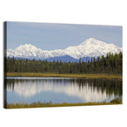 Denali Reflection Wall Art