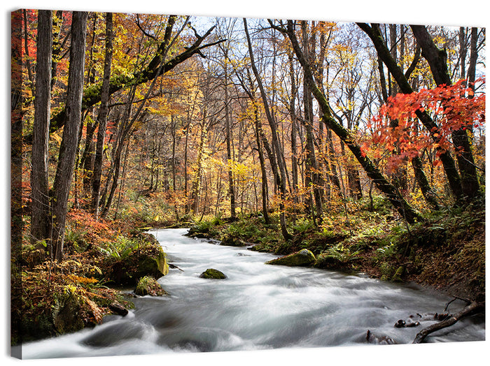 Sunlit Forest Stream Wall Art as a canvas print