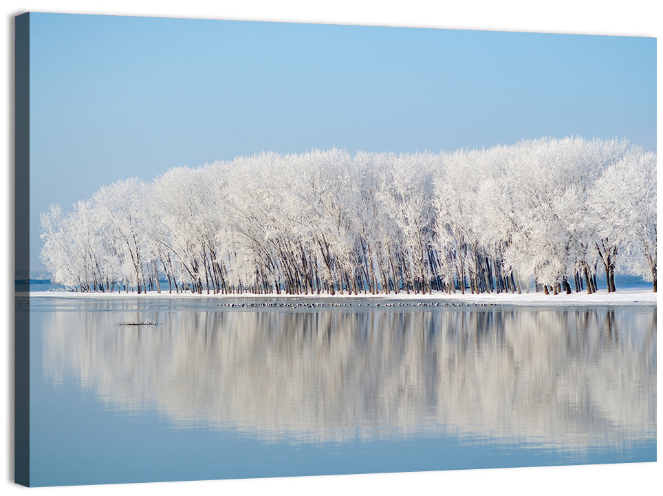 Frost Covered Lakeside Trees Wall Art
