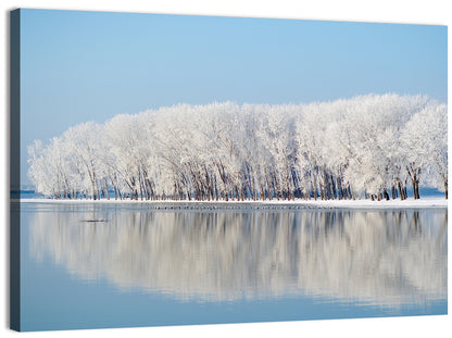 Frost Covered Lakeside Trees Wall Art
