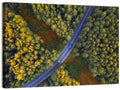 Aerial Autumn Forest Road Wall Art