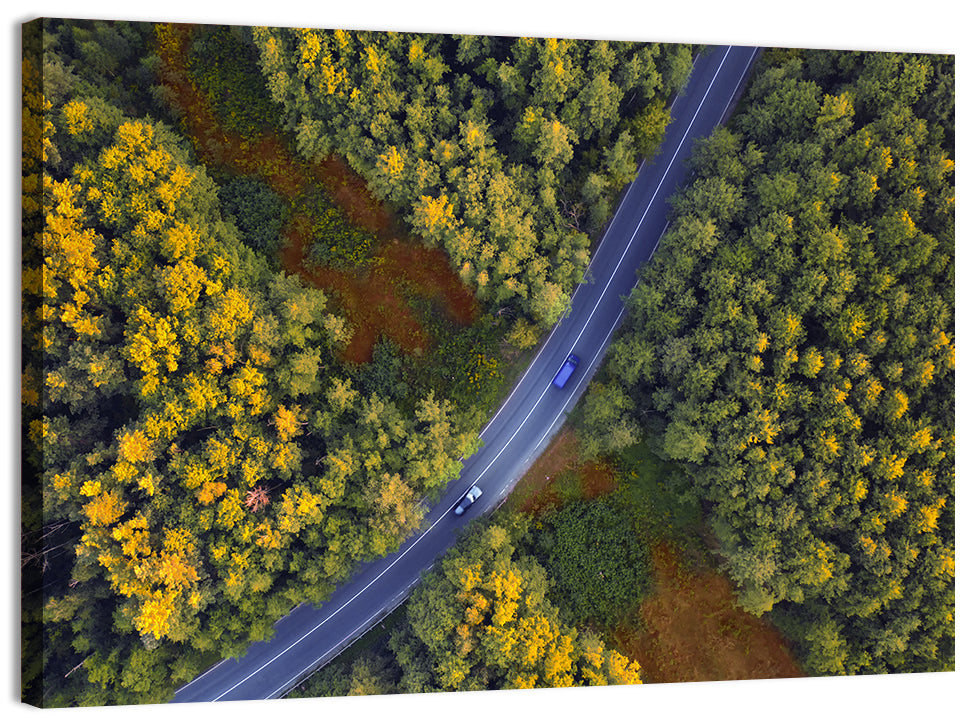 Aerial Autumn Forest Road Wall Art, canvas print, landscape