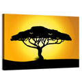 Acacia at Sunset Wall Art