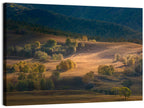 Bashang Plateau Golden Hour Wall Art