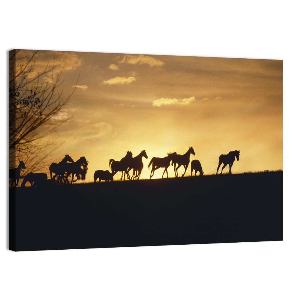 Mustang Silhouettes at Sunset Wall Art