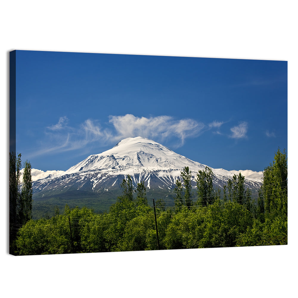 Mount Ararat Wall Art, canvas print, landscape
