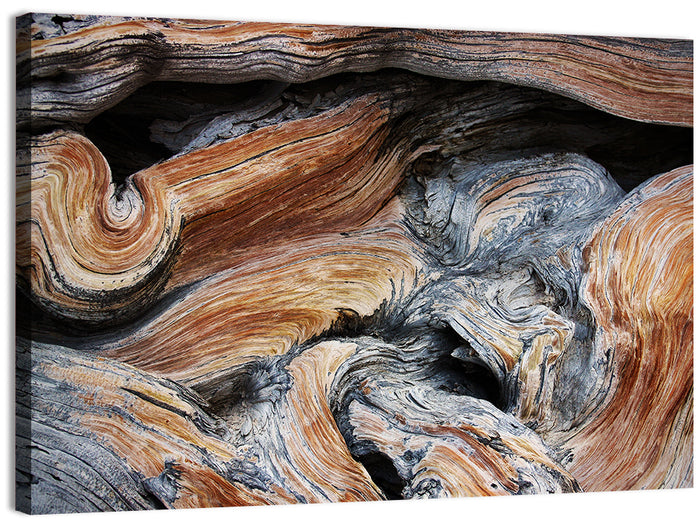 Juniper Wood Texture Wall Art as a canvas print