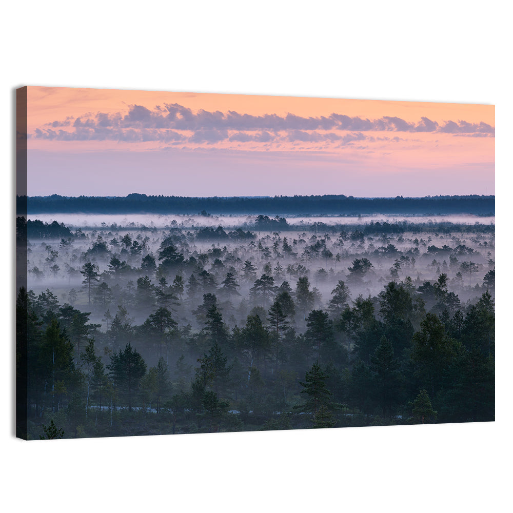 Estonian Misty Pine Landscape Wall Art