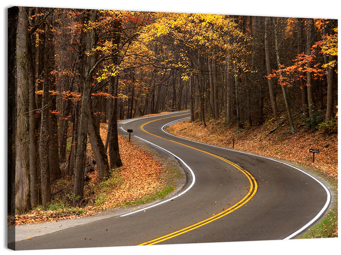 S-curve Road Through Autumn Forest Wall Art as a canvas print