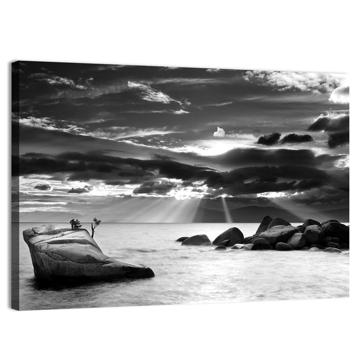 Bonsai Rock with Sunbeams Wall Art