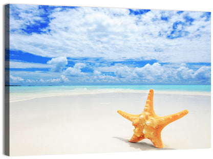 Minimalist Yellow Starfish on Turquoise Shore Wall Art