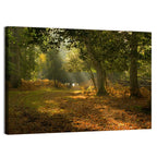 Autumn Forest Path, Hampshire Wall Art