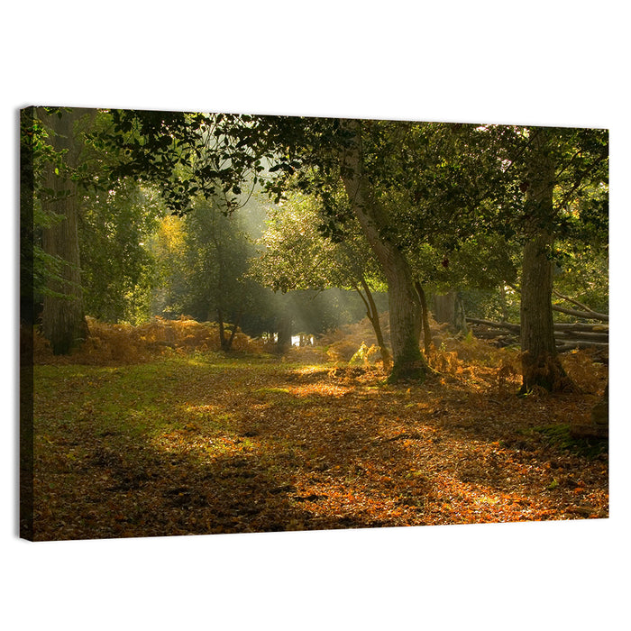 Autumn Forest Path, Hampshire Wall Art as a canvas print