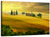 Tuscany Summer Landscape Wall Art