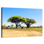 Acacia and Baobab Trees Wall Art