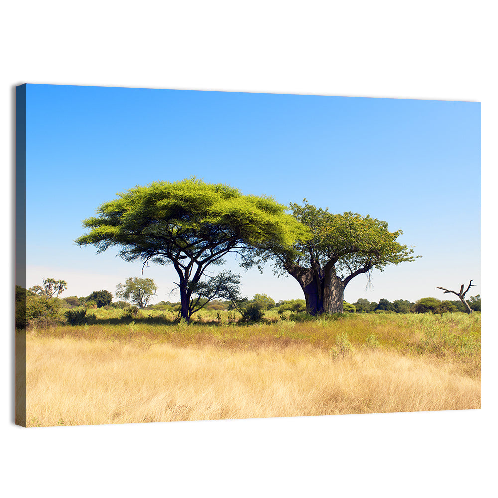 Acacia and Baobab Trees Wall Art