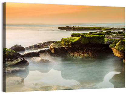 Mossy Rocky Coastline at Golden Hour Wall Art