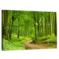 Sunlit Forest Path Wall Art