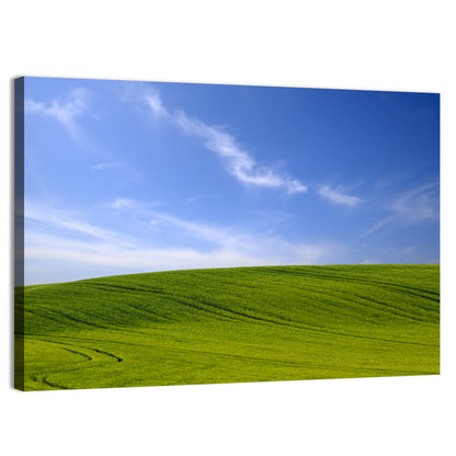 Rolling Green Hill with Blue Sky Wall Art
