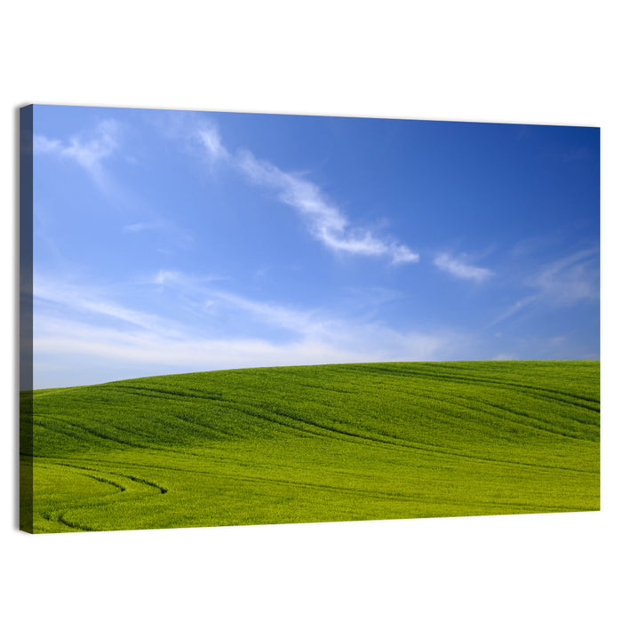 Rolling Green Hill with Blue Sky Wall Art as a canvas print