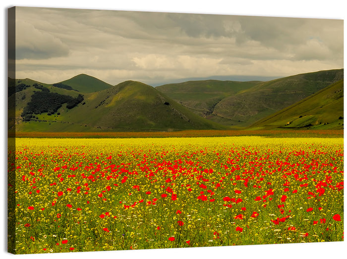 Castelluccio Wildflower Meadow Wall Art as a canvas print