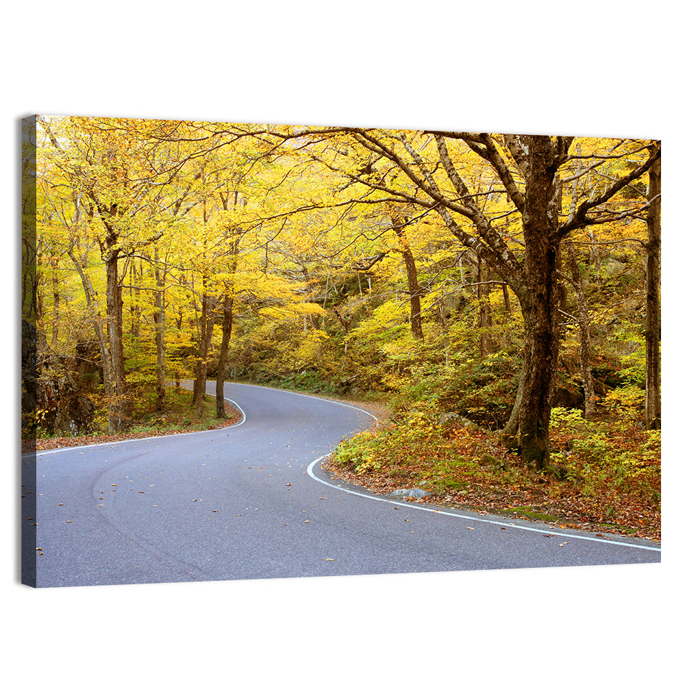 Winding Road Through Autumn Foliage Wall Art, canvas print, landscape