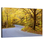 Winding Road Through Autumn Foliage Wall Art