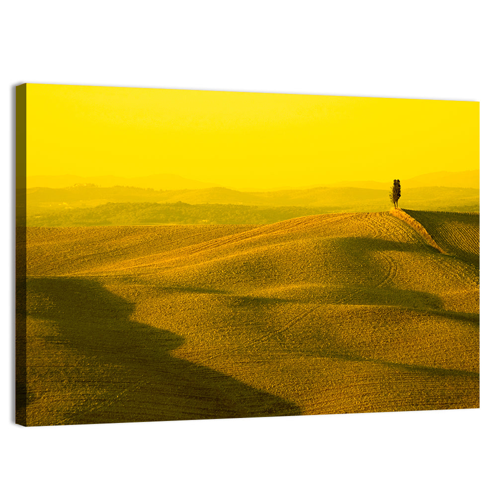 Cypress on Tuscan Hills Wall Art