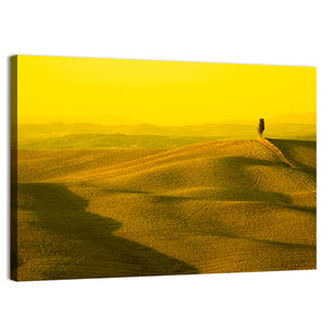 Cypress Tree in Tuscany Fields Wall Art