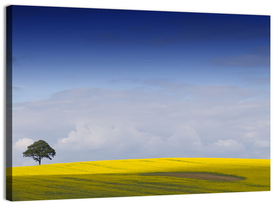 Solitary Tree Over Rapeseed Field Wall Art