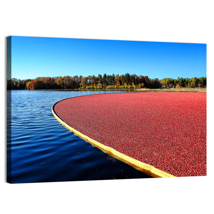Flooded Cranberry Bog Wall Art as a canvas print