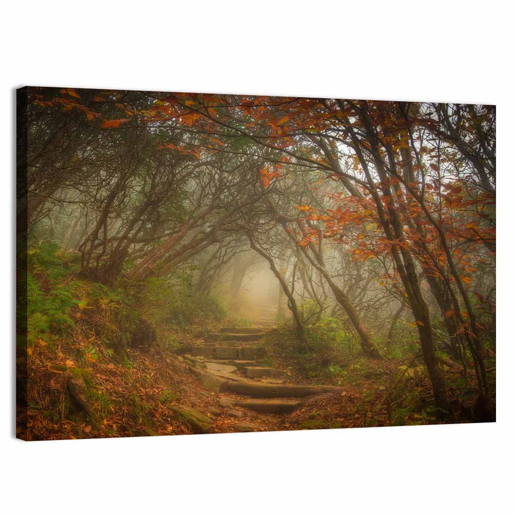 Craggy Garden Path Wall Art
