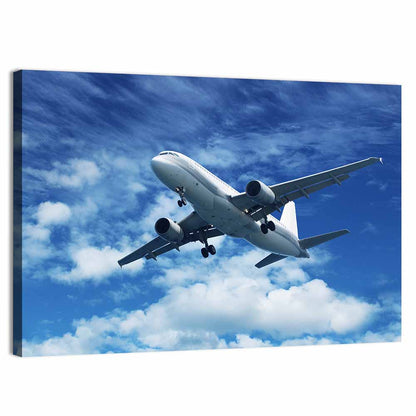 Passenger Airliner in Blue Sky Wall Art