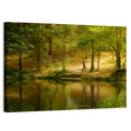 Forest Pond at Golden Hour Wall Art