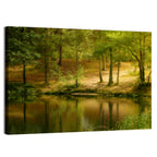 Forest Pond at Golden Hour Wall Art