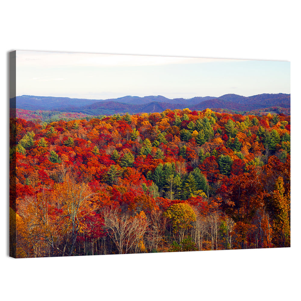 Autumn in the Appalachian Forest Wall Art