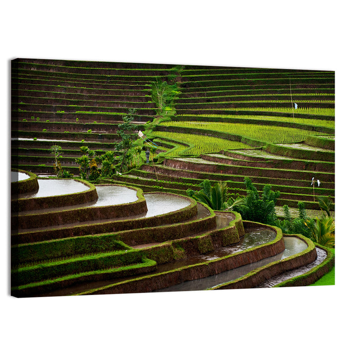 Lush Rice Terraces Wall Art as a canvas print