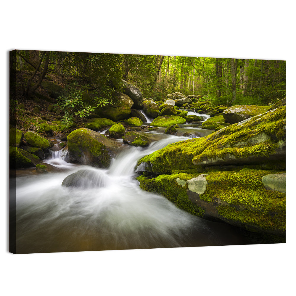 Gatlinburg Park Stream Wall Art, canvas print, landscape