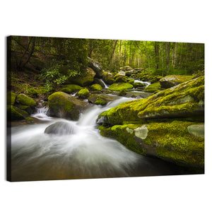 Gatlinburg Park Stream Wall Art