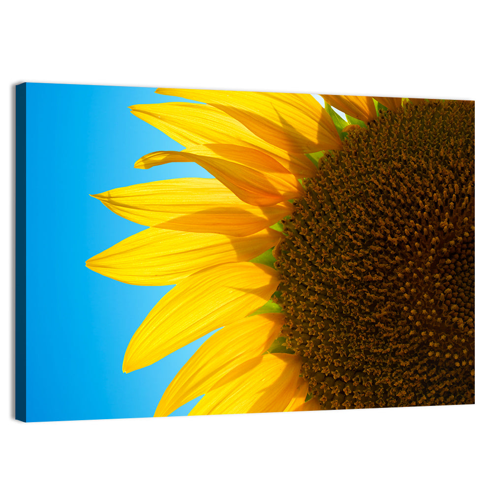 Sunflower Close-up Wall Art, canvas print, landscape