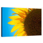 Sunflower Close-up Wall Art