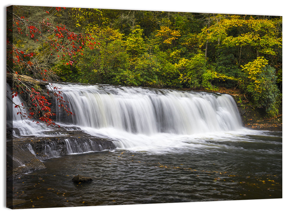 Dupont State Forest Autumn Waterfall Stream Wall Art, canvas print, landscape