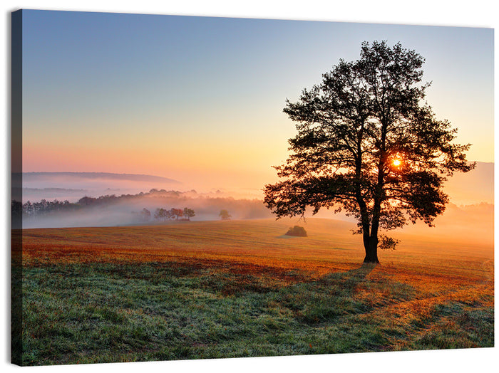 Misty Meadow Sunrise with Lone Tree Wall Art as a canvas print