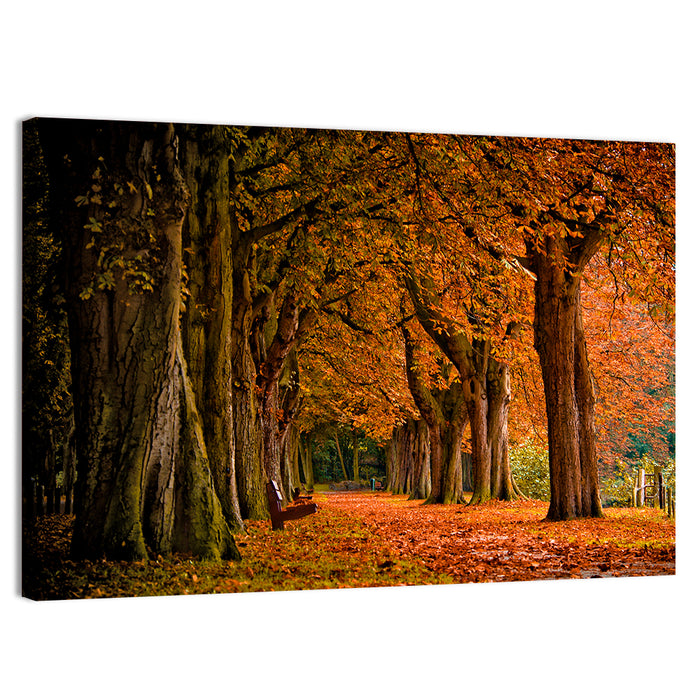 Autumn Forest Pathway Wall Art as a canvas print